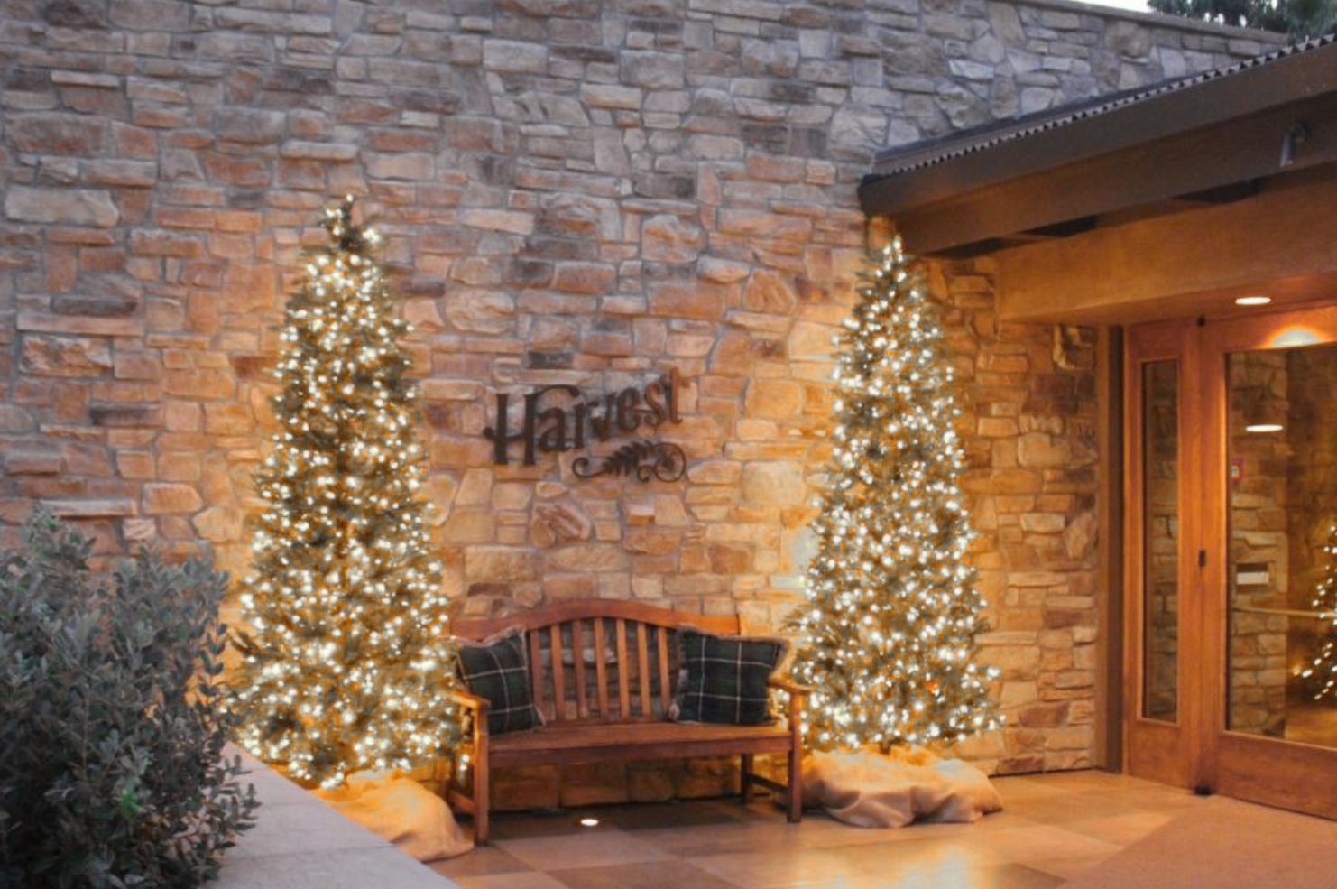 Two Christmas trees lit up for the holidays with Harvest signage