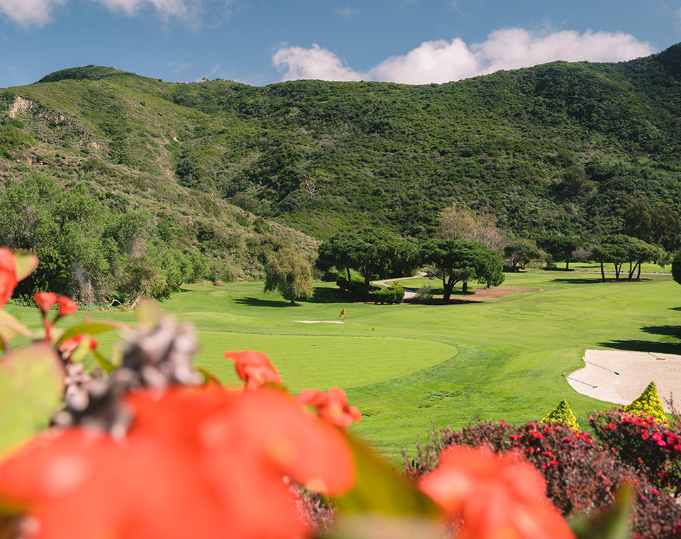 Golf Course with Flowers