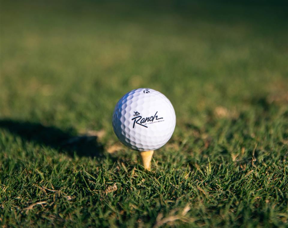 Golf Ball on the grass on a tee