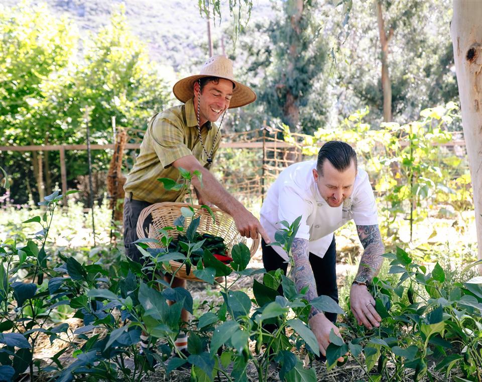 Farmer Leo & Chef Kyle in Harvest Farm