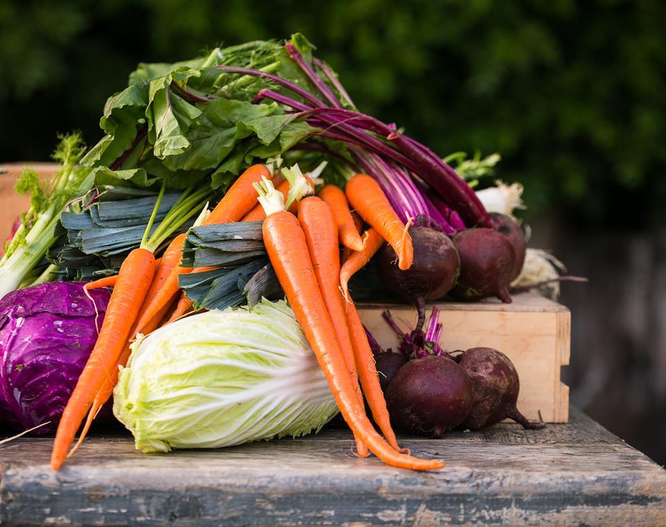 Harvest Farm's fresh picked carrots, beets, and lettuce